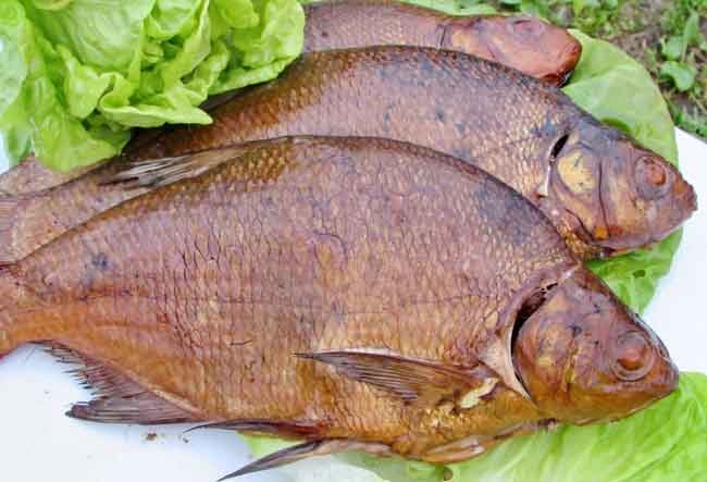 Копченая рыба лещ калории
