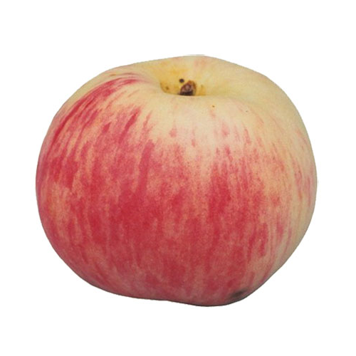 Пюре яблочное - калорийность и химический состав