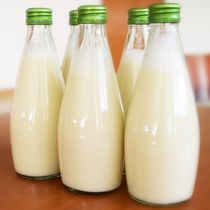 Диета на молочных продуктах 