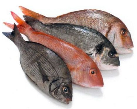 Вред морской рыбы